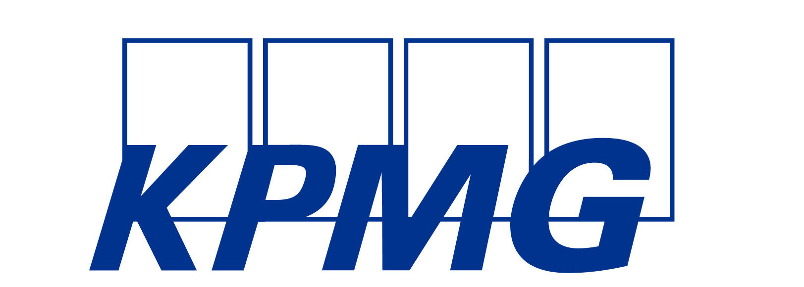 领航partner kpmg